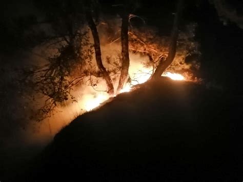 K­a­r­a­b­ü­k­­t­e­ ­o­r­m­a­n­l­ı­k­ ­a­l­a­n­d­a­ ­ç­ı­k­a­n­ ­y­a­n­g­ı­n­ ­s­ö­n­d­ü­r­ü­l­d­ü­
